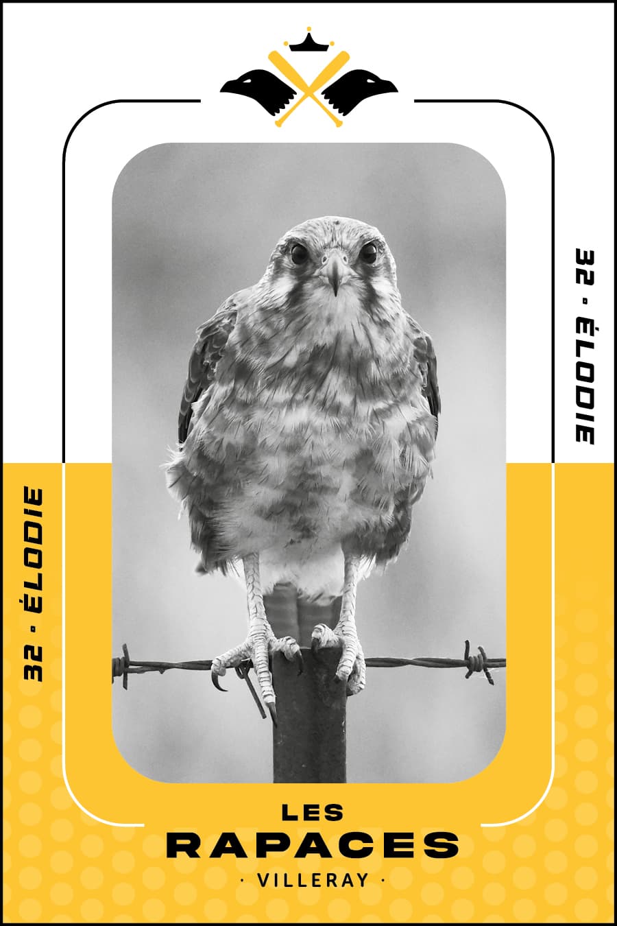 rapace noble