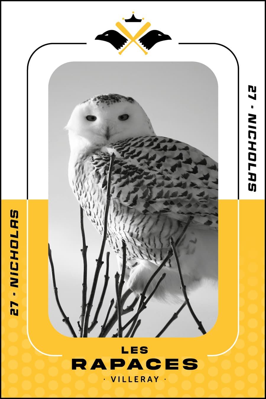 rapace blanche
