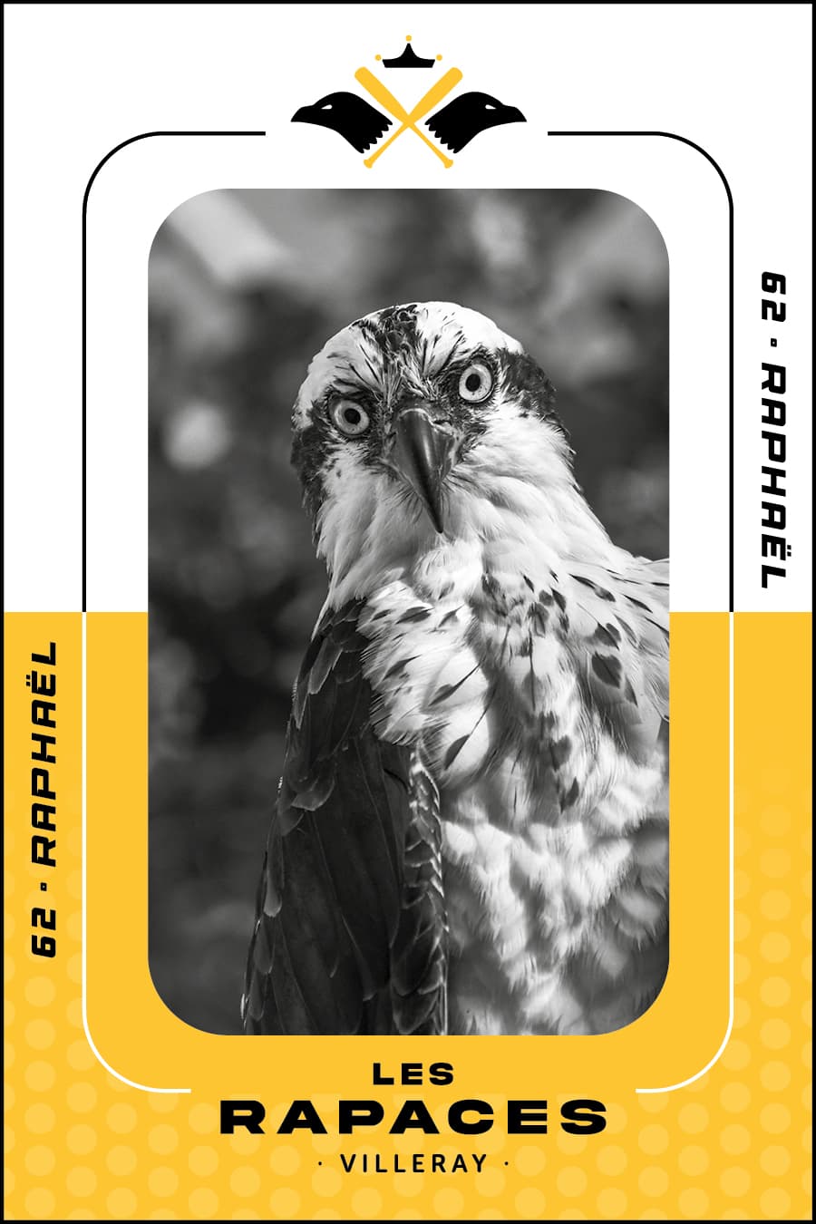 rapace precise