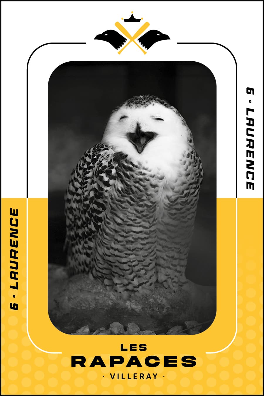 Rapace ricaneuse