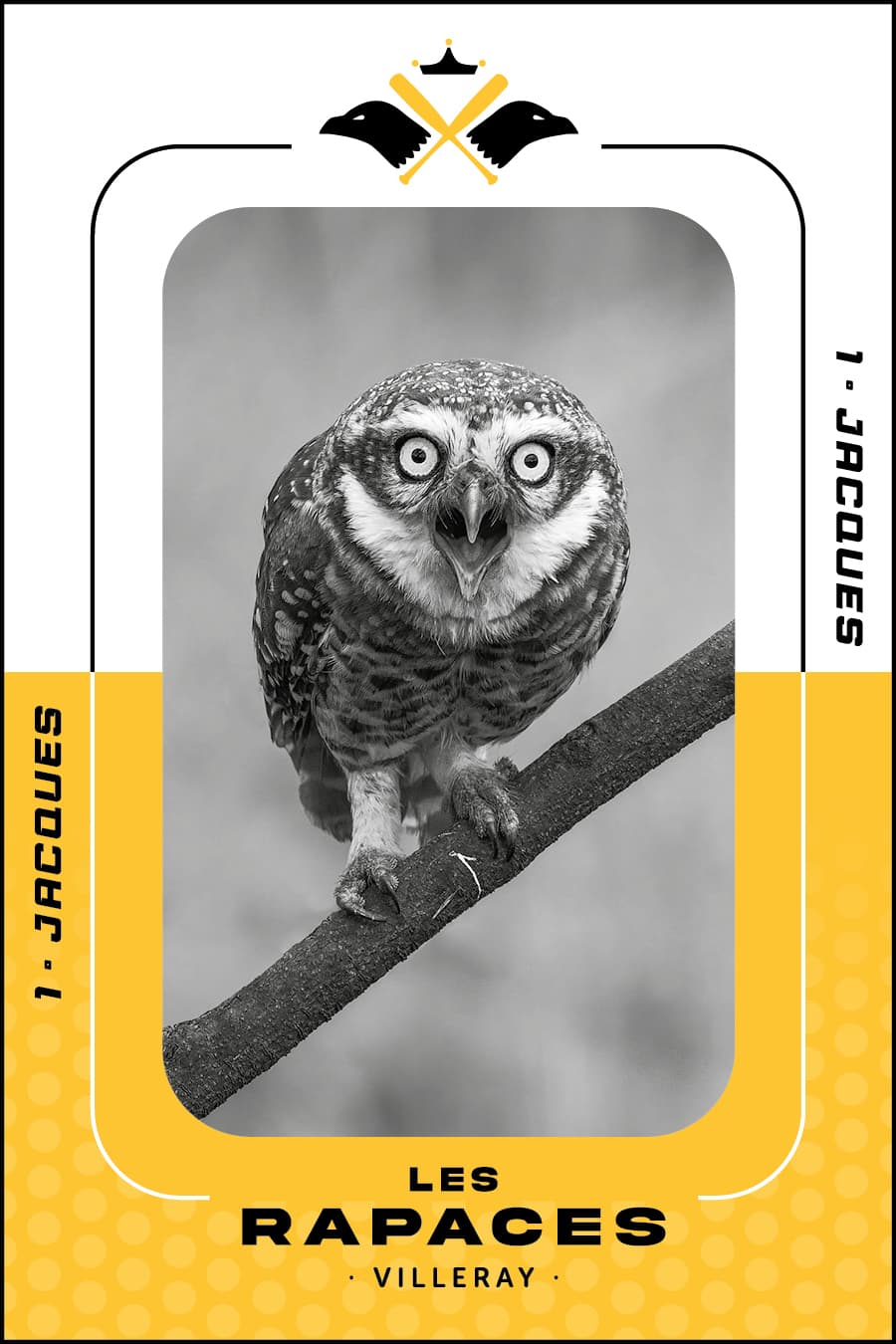 rapace petite
