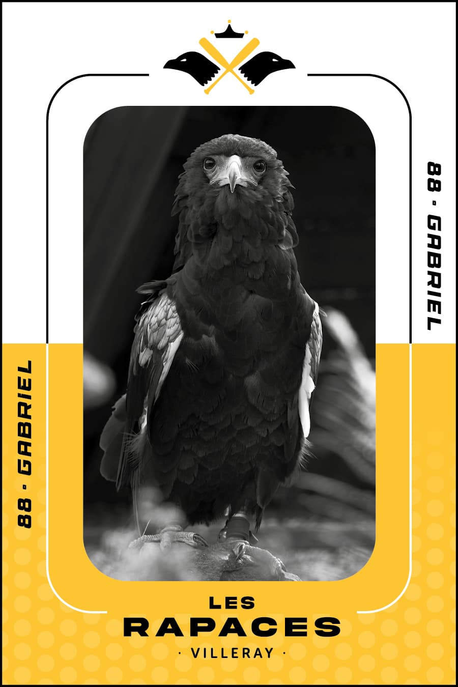 rapace comique
